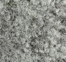 ColorKey ColorKey a 04 фото 2 | FLOORDEALER