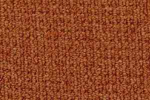 Ковролин Desso Conga 5102 фото  | FLOORDEALER