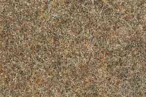 Ковровая плитка Desso Forto 2063 фото  | FLOORDEALER