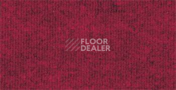 Ковролин Sintelon Ekonomic Plus 776EP фото 1 | FLOORDEALER