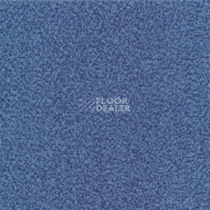Ковролин Sintelon Velveto 47912 фото 1 | FLOORDEALER