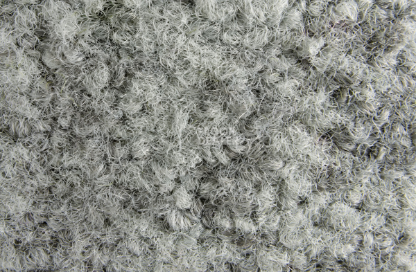 ColorKey ColorKey a 04 фото 2 | FLOORDEALER