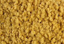 Ковровая плитка ColorKey ColorKey 08 фото 1 | FLOORDEALER