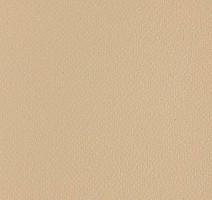 Линолеум Grabo Silver Knight Fitness 2170_00_279 фото 1 | FLOORDEALER