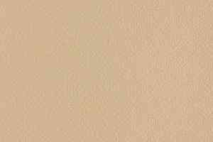 Линолеум Grabo Silver Knight Fitness 2170_00_279 фото  | FLOORDEALER