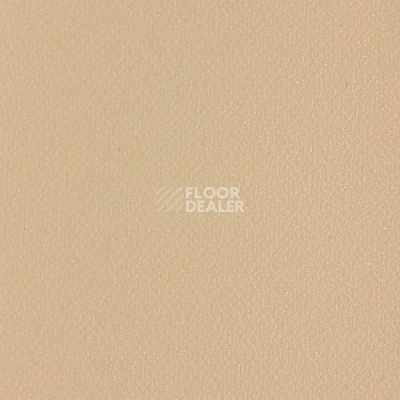 Линолеум Grabo Silver Knight Fitness 2170_00_279 фото 1 | FLOORDEALER