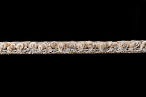 Desso Retrace ac 63 1510 фото 7 | FLOORDEALER