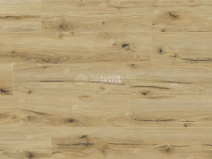 Classen Arteo 8 M 62747 Дуб Анаргоса фото 4 | FLOORDEALER