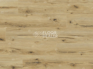 Classen Arteo 8 M 62747 Дуб Анаргоса фото 4 | FLOORDEALER