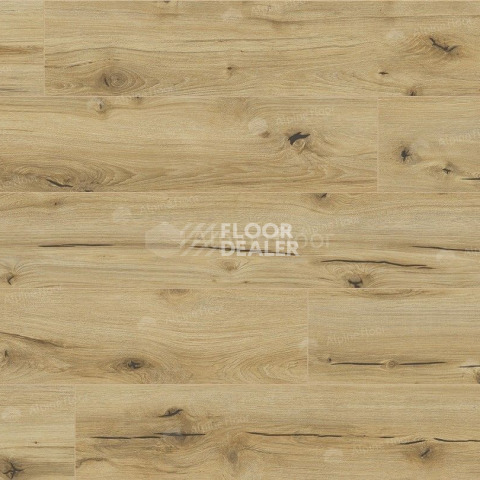 Classen Arteo 8 M 62747 Дуб Анаргоса фото 4 | FLOORDEALER