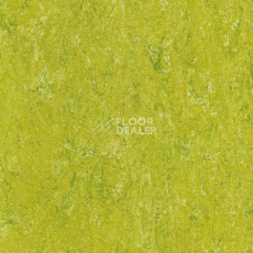 Линолеум Gerflor Marmorette PUR 125-132 фото 1 | FLOORDEALER