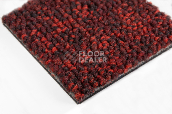 Balsan Season - Summer / Winter 590 фото 4 | FLOORDEALER
