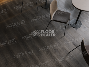Norland Sigrid Superior 8мм Blake 1008-2 ABA фото 4 | FLOORDEALER