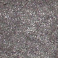 Ковролин Hidden Treasure Beaulie of America Stone Grey 22 фото 1 | FLOORDEALER