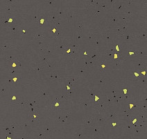 Линолеум Forbo Sphera Energetic 51244 vivid ebony фото 1 | FLOORDEALER