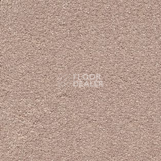 Ковролин AW Suspense 38 фото 1 | FLOORDEALER