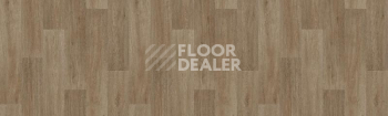 Линолеум Tarkett Status LEON3 фото 1 | FLOORDEALER