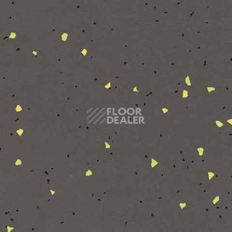 Линолеум Forbo Sphera Energetic 51244 vivid ebony фото 1 | FLOORDEALER