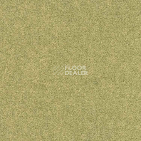 Ковролин Finett Feinwerk 603501 фото 1 | FLOORDEALER