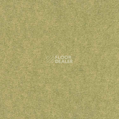 Ковролин Finett Feinwerk 603501 фото 1 | FLOORDEALER