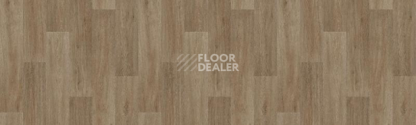 Линолеум Tarkett Status LEON3 фото 1 | FLOORDEALER