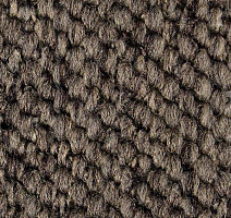 Ковролин Carpet Concept Eco Cut 54578 фото 1 | FLOORDEALER