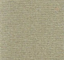 Ковролин Infloor Casa 860 фото 1 | FLOORDEALER