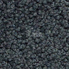 Ковролин Girloon Body1 561 фото 1 | FLOORDEALER