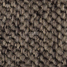 Carpet Concept Eco Cut 54578 фото 1 | FLOORDEALER