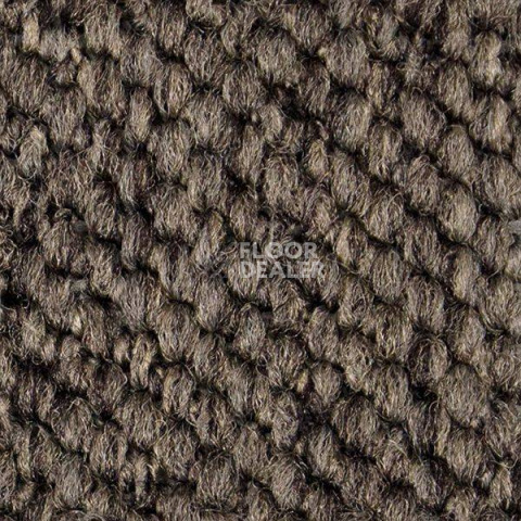 Ковролин Carpet Concept Eco Cut 54578 фото 1 | FLOORDEALER
