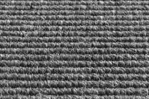 Ковролин Jacaranda Carpets Heyford Criggion фото  | FLOORDEALER