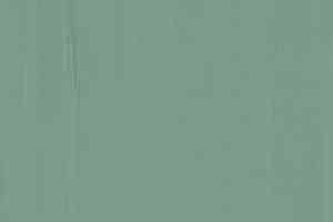 Линолеум Lino Fatra DUAL 737 фото  | FLOORDEALER