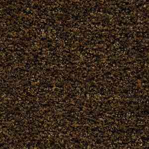 Грязезащитные покрытия Forbo Coral Brush 5736 cinnamon brown фото ##numphoto## | FLOORDEALER