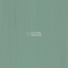 Линолеум Lino Fatra DUAL 737 фото 1 | FLOORDEALER