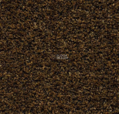 Forbo Coral Brush 5736 Cinnamon Brown фото 1 | FLOORDEALER