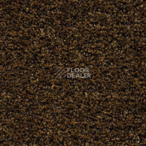 Грязезащитные покрытия Forbo Coral Brush 5736 Cinnamon Brown фото 1 | FLOORDEALER