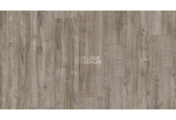 My Floor Cottage широкая 8мм mv857 Дуб Монтело Серебристый фото 2 | FLOORDEALER