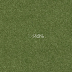 Ковролин Finett Feinwerk 603505 фото 1 | FLOORDEALER