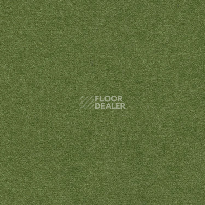 Ковролин Finett Feinwerk 603505 фото 1 | FLOORDEALER