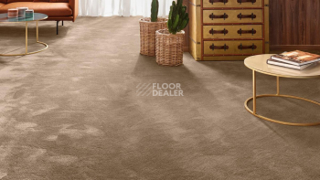 Vorwerk Exclusive 1060 Safira 7g62 фото 2 | FLOORDEALER