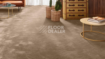 Vorwerk Exclusive 1060 Safira 7g62 фото 2 | FLOORDEALER