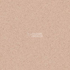Линолеум Grabo Terrana Top Extra 4564-251 фото 1 | FLOORDEALER