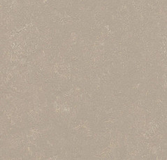 Линолеум Forbo Marmoleum Decibel 370835 fossil фото 1 | FLOORDEALER