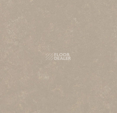 Линолеум Forbo Marmoleum Decibel 370835 fossil фото 1 | FLOORDEALER