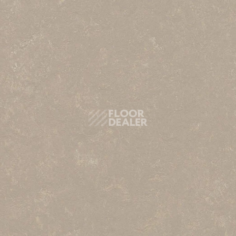 Линолеум Forbo Marmoleum Decibel 370835 fossil фото 1 | FLOORDEALER