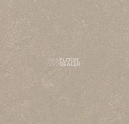 Линолеум Forbo Marmoleum Decibel 370835 fossil фото 1 | FLOORDEALER