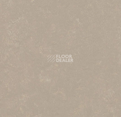 Линолеум Forbo Marmoleum Decibel 370835 fossil фото 1 | FLOORDEALER