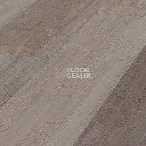 Ламинат Kronotex Mammut Plus d4738 Дуб Северный фото 1 | FLOORDEALER