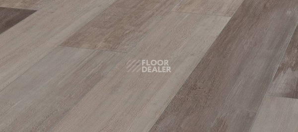 Ламинат Kronotex Mammut Plus d4738 Дуб Северный фото 1 | FLOORDEALER