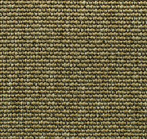 Ковролин Carpet Concept Eco Iqu 40593 фото 1 | FLOORDEALER